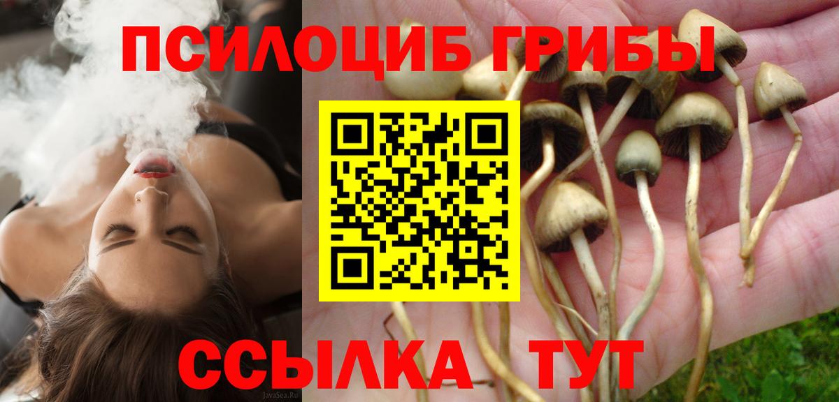Галлюциногенные грибы Psilocybe  Вход с VPN  Полевской  Галлюциногенные грибы мухоморы 